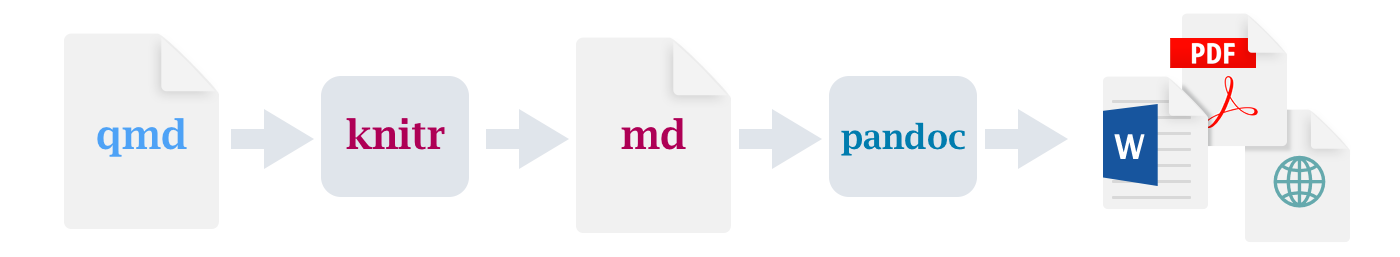 The 'rendering' process: First, Quarto file is converted to Markdown, which is then converted (via pandoc) to .html, .pdf, .docx, etc.